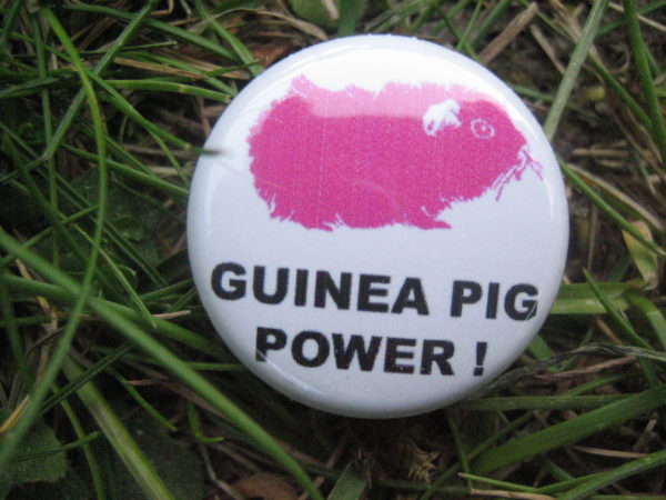 BUTTON Guinea Pig Power