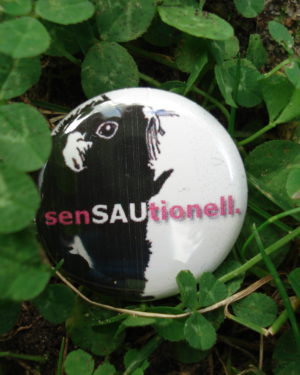 Button "SenSAUtionell"