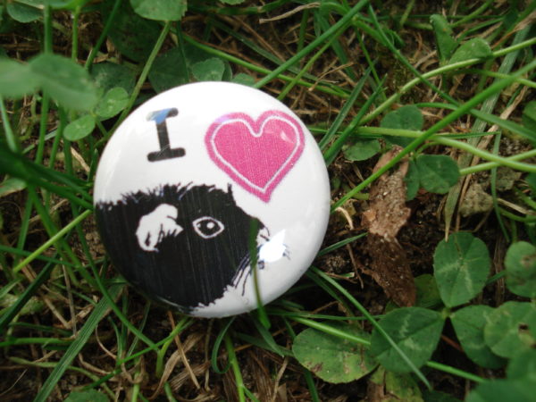 Button " Ich liebe Meerschweinchen"