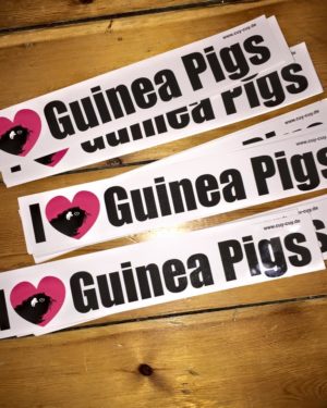 I Love Guinea Pigs - Aufkleber